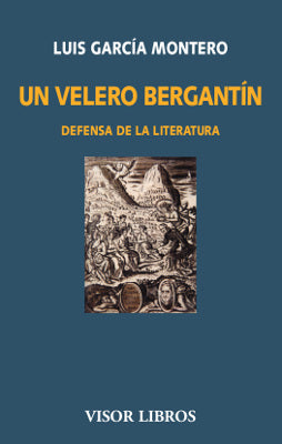 Un velero bergantín