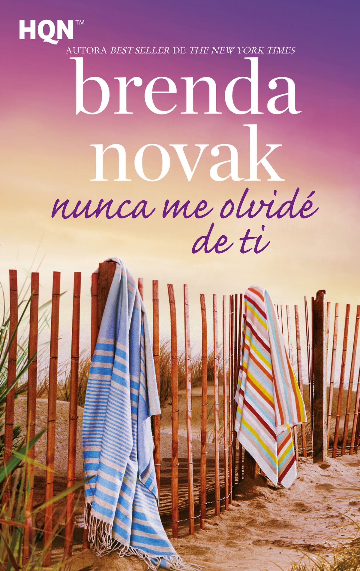 Nunca me olvidé de ti