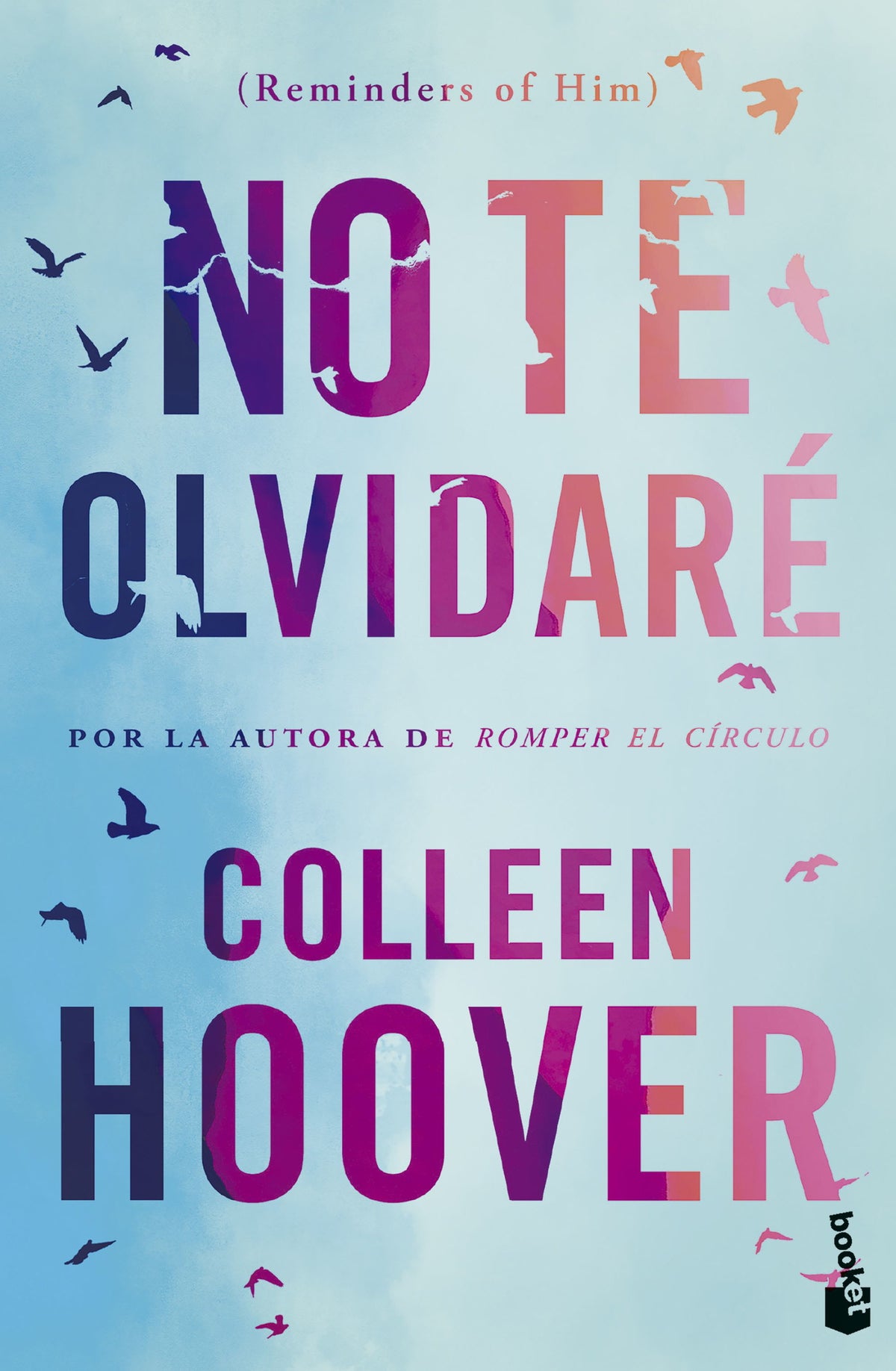 No te olvidaré (Reminders of Him)