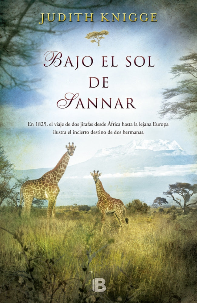Bajo el sol de Sannar