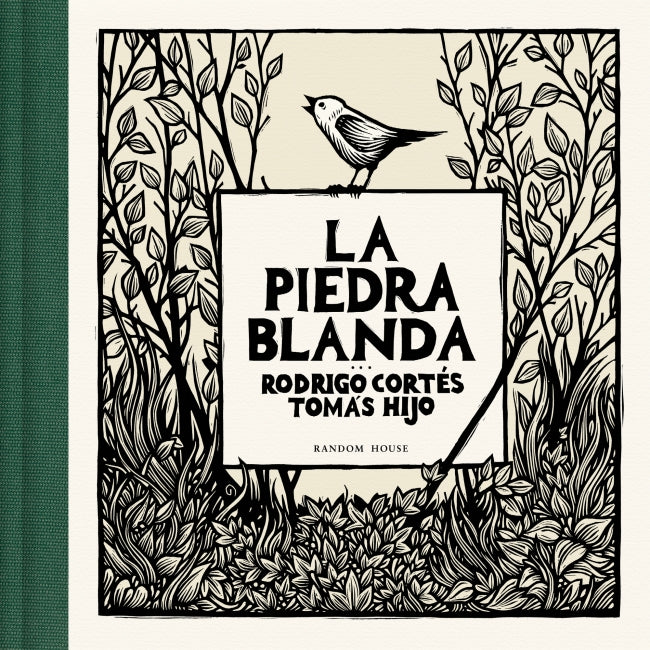 La piedra blanda