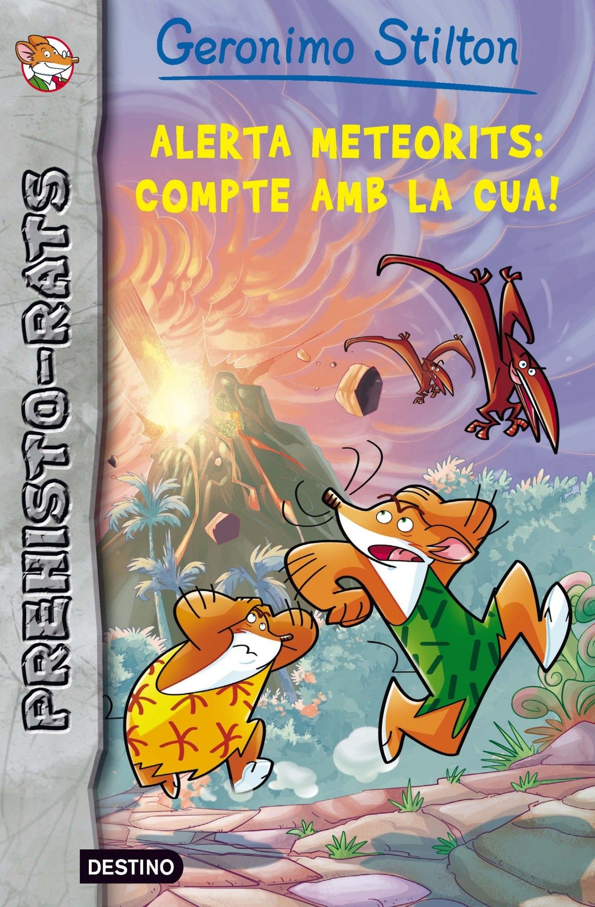 Alerta meteorits: compte amb la cua!