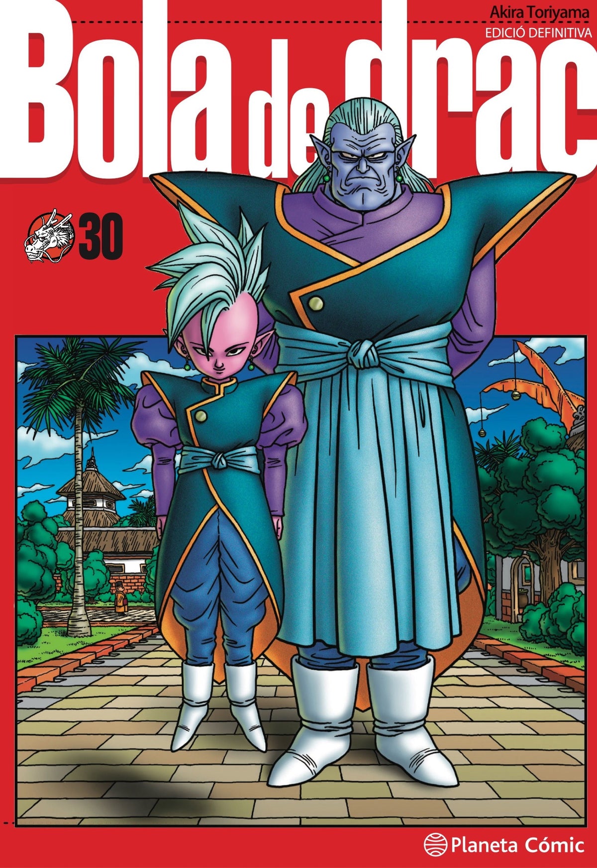 Bola de Drac Definitiva n. 30/34