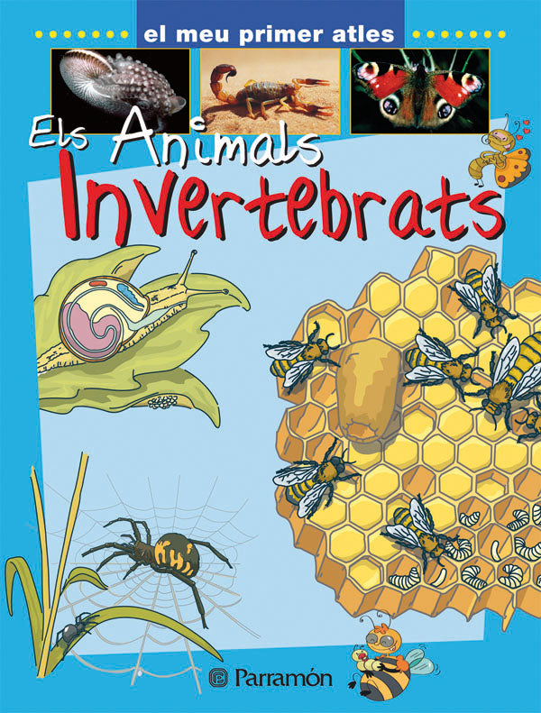 Els animals invertebrats