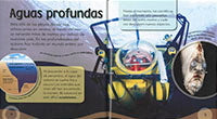 El cachalote y otras aventuras del mundo submarino