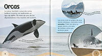 La orca y otras criaturas de aguas frías