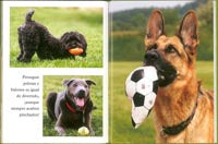 Perros