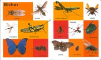 Animales