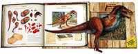 Tyrannosaurus Rex