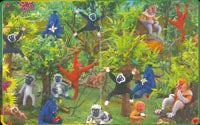 Animales