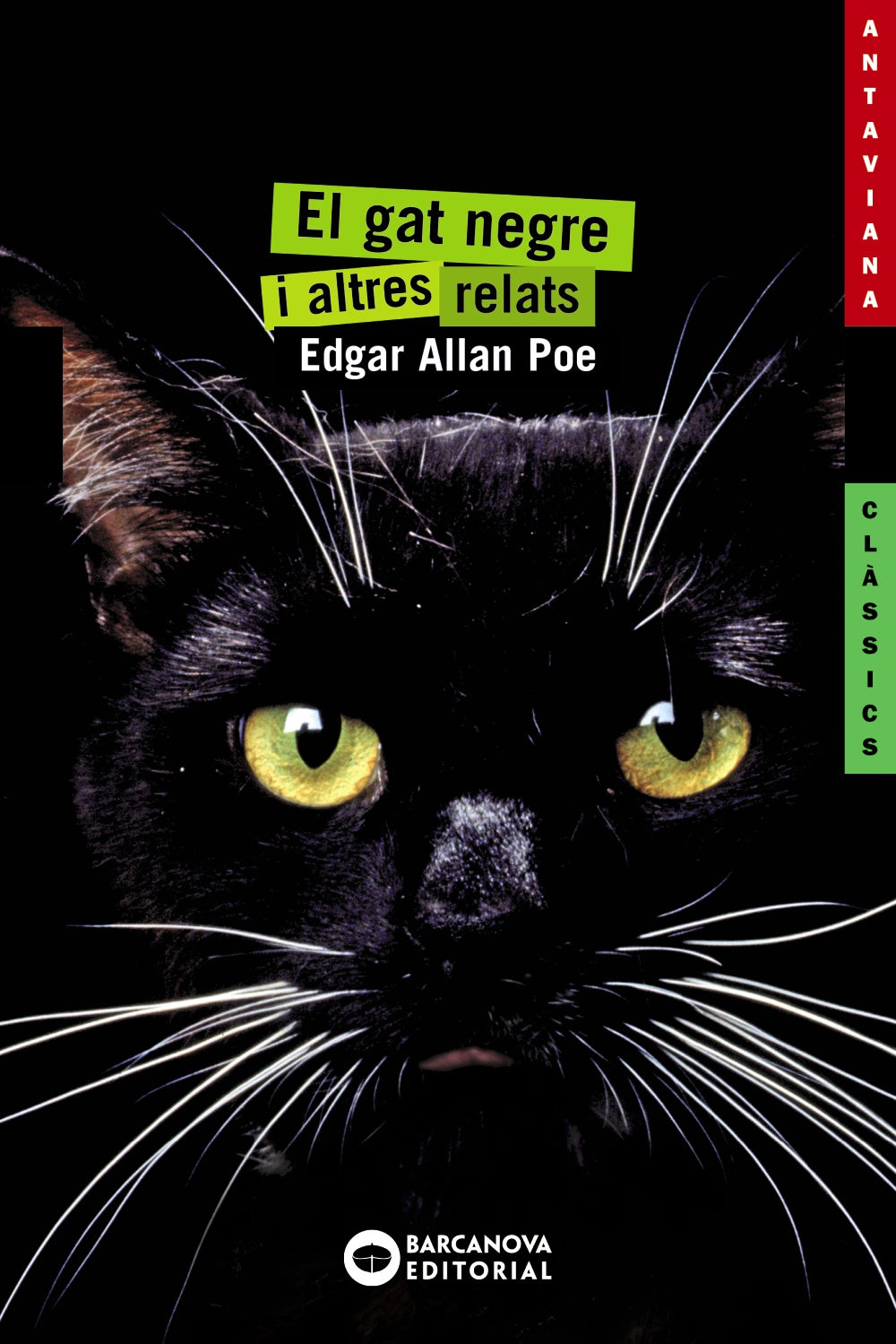 El gat negre i altres relats