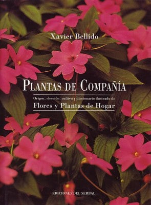 Plantas de compañía