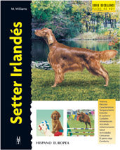 Setter Irlandés