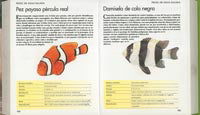 Mascotas