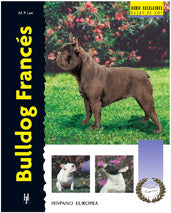 Bulldog Francés