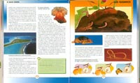 Gran libro de la naturaleza