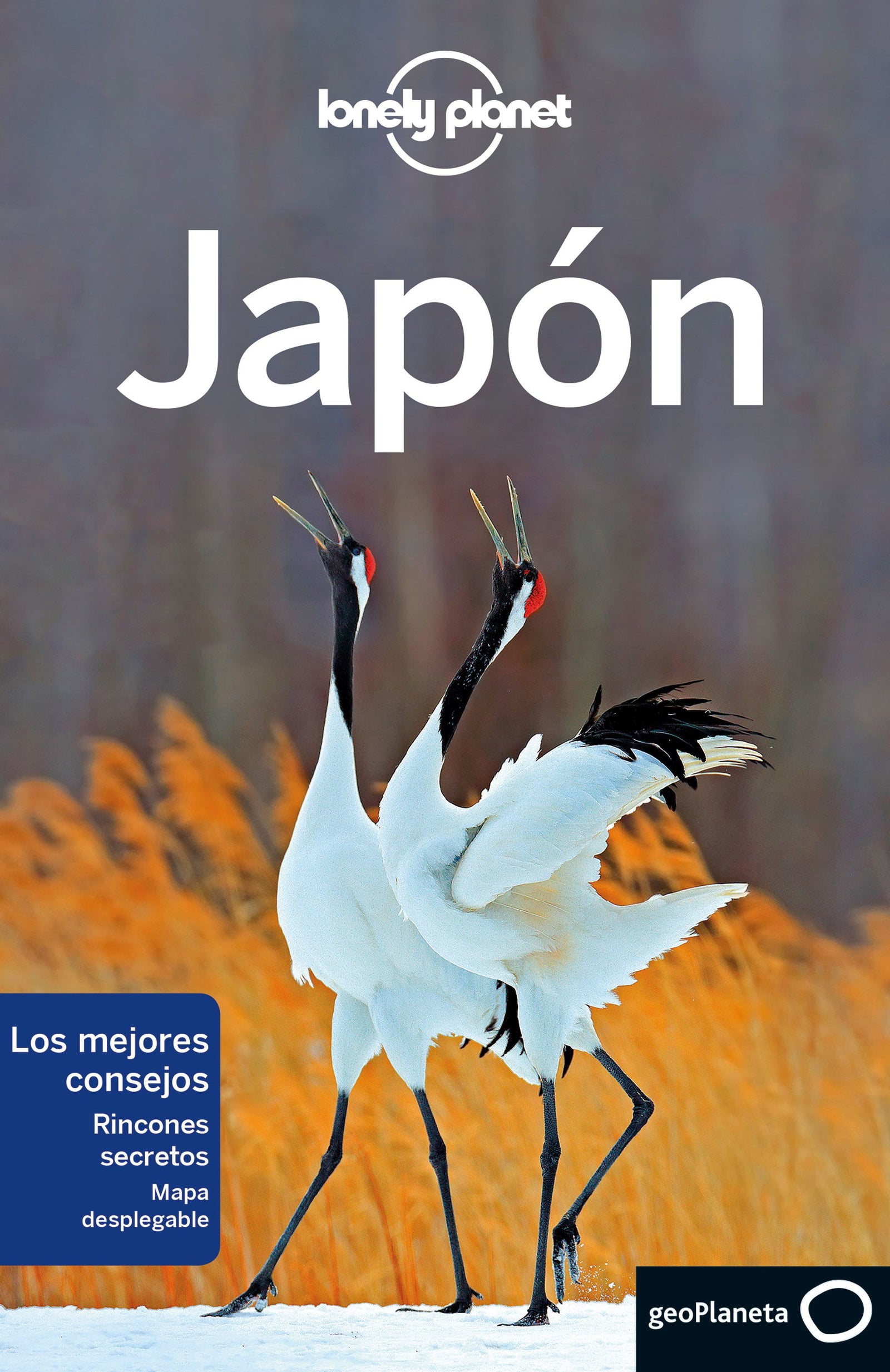 Japón 7