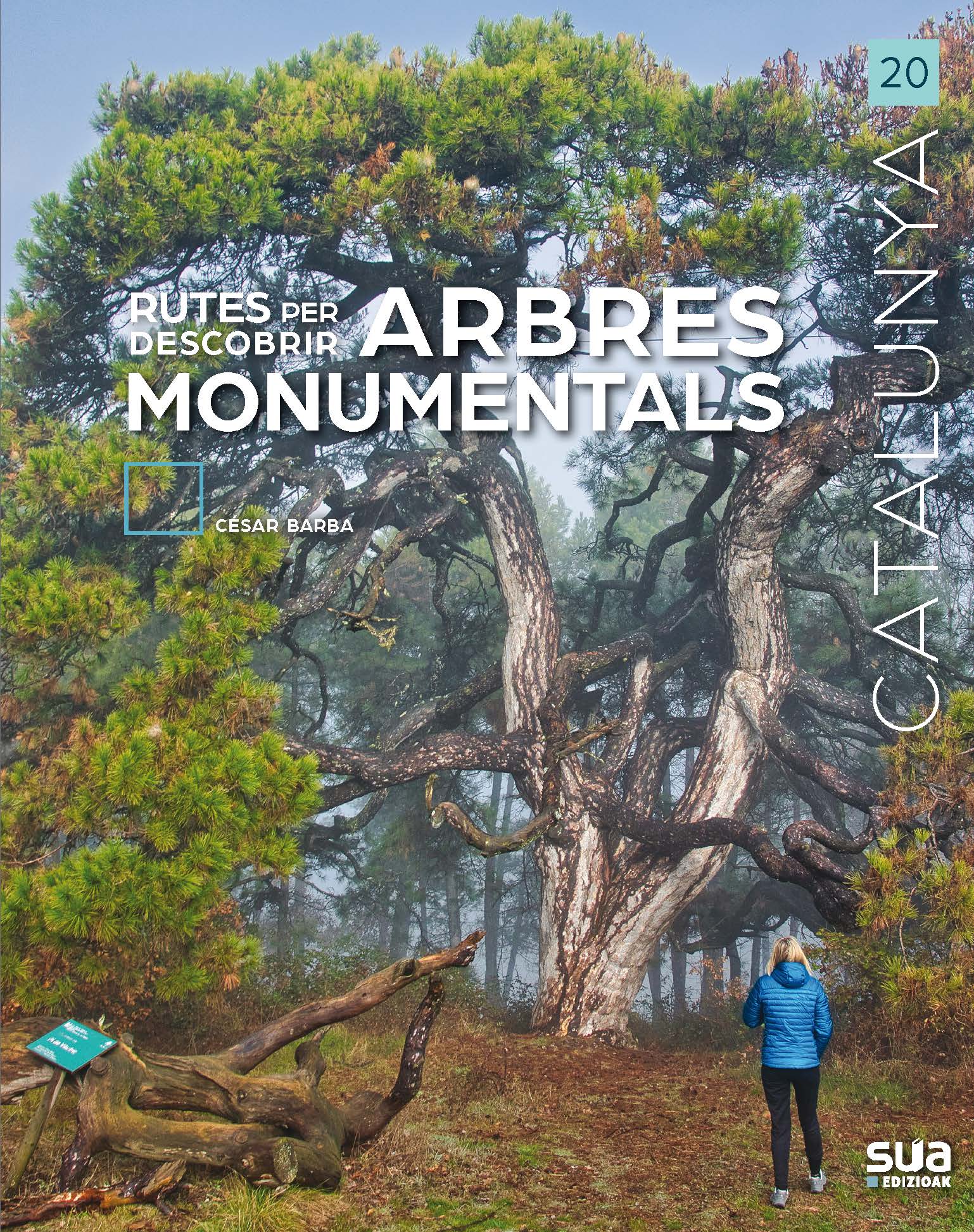 Rutes per descobrir arbres monumentals