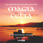 Magia celta