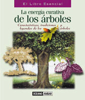 La energía curativa de los árboles