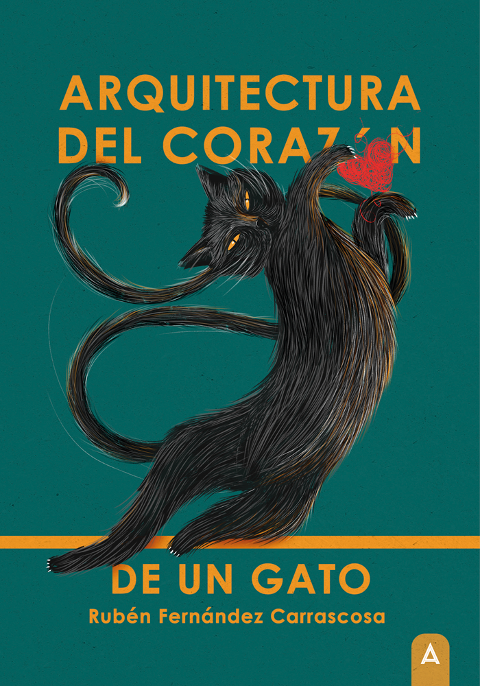 Arquitectura del corazón de un gato