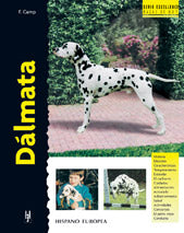 Dálmata