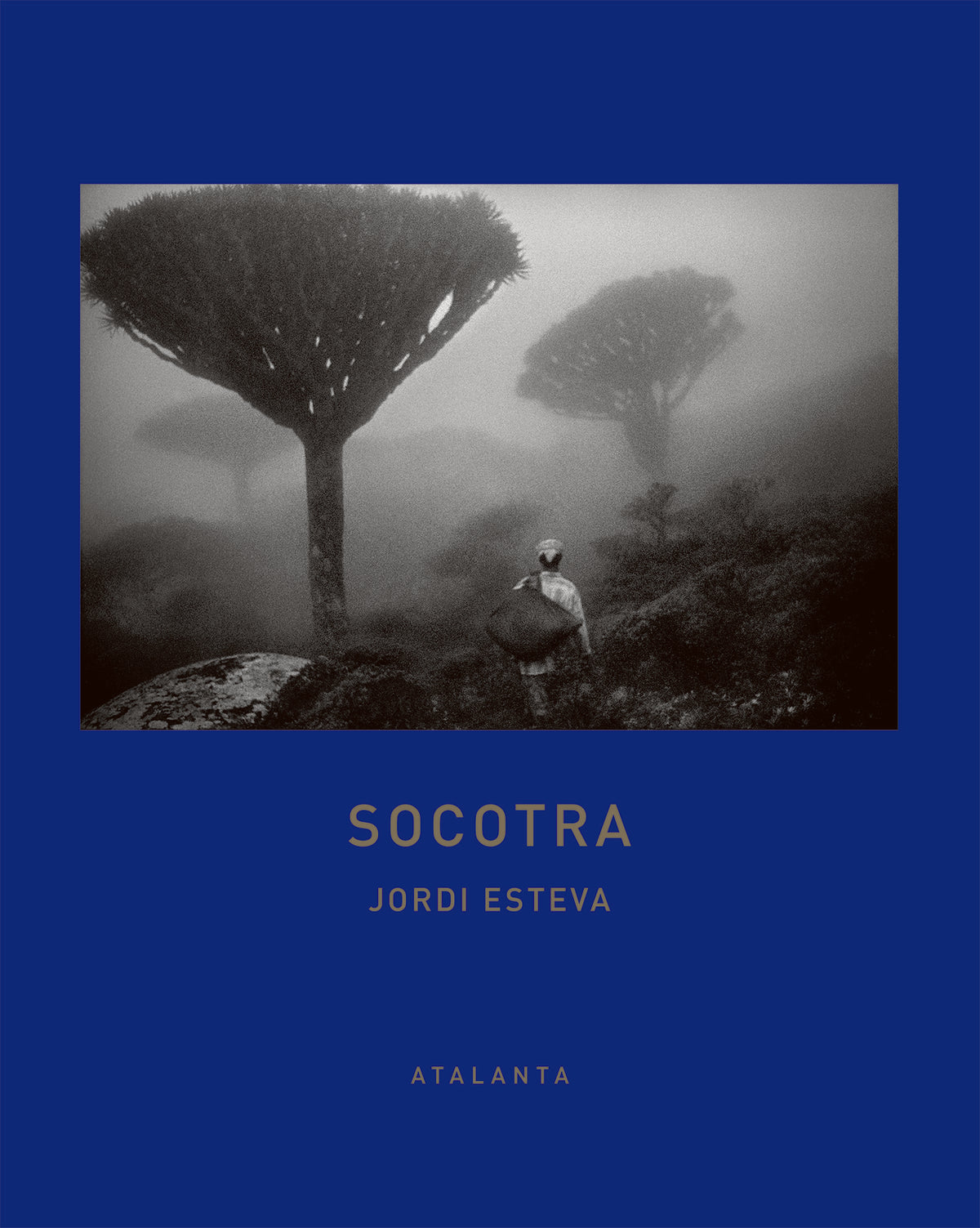 Socotra