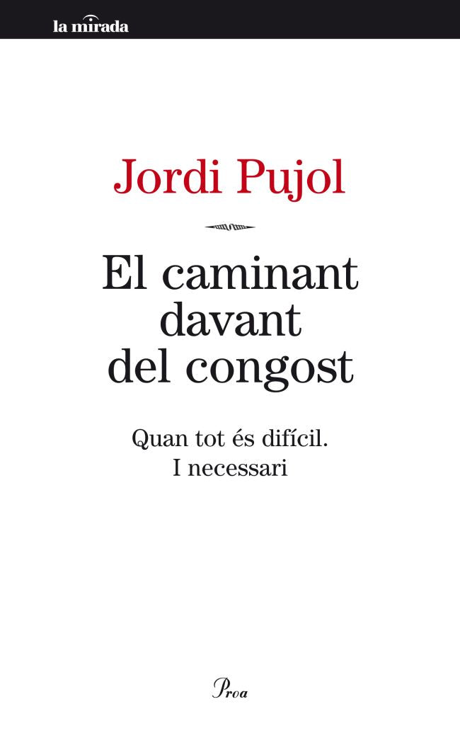 El caminant davant del congost