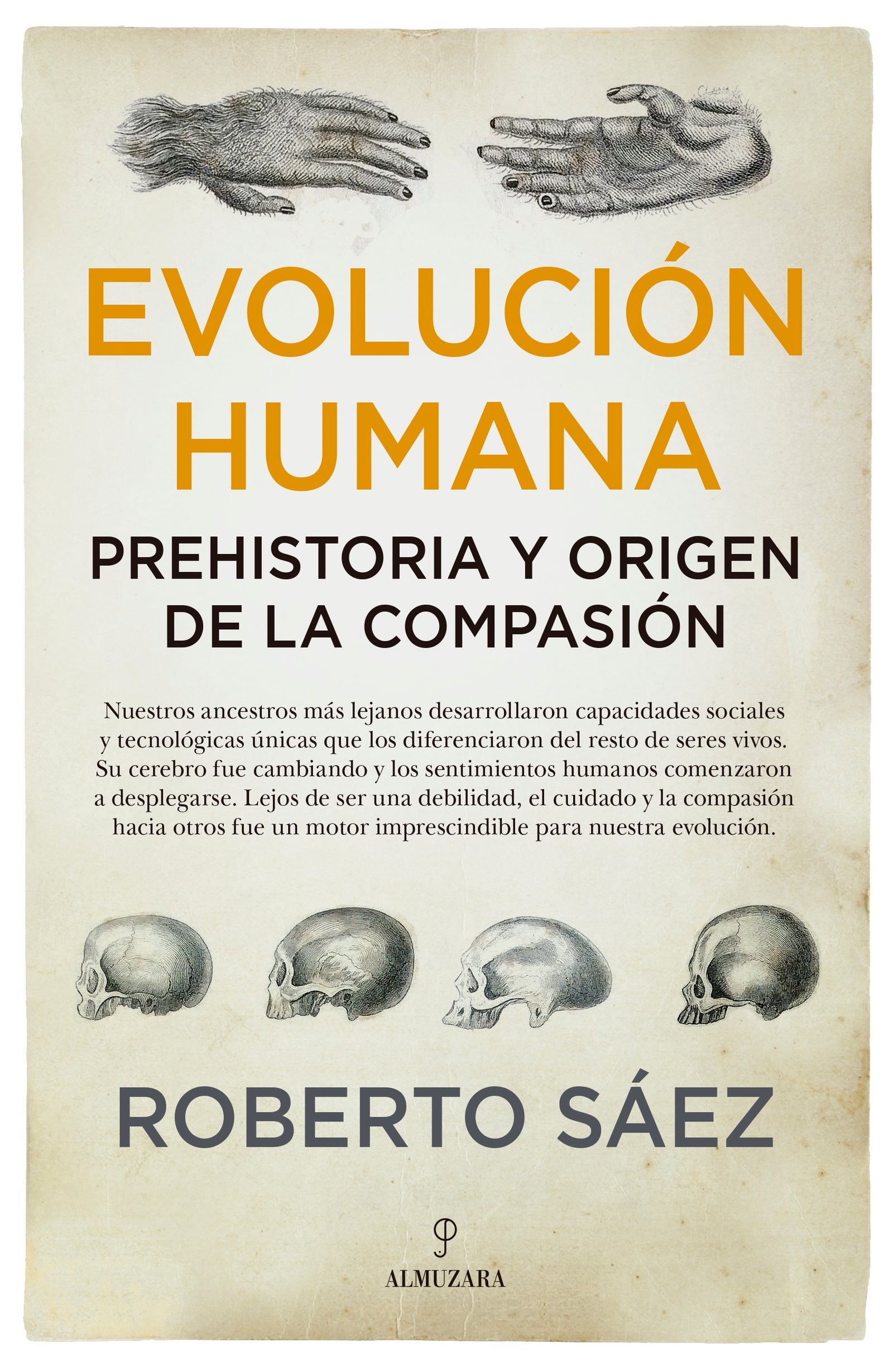 Evolución humana: Prehistoria y origen de la compasión