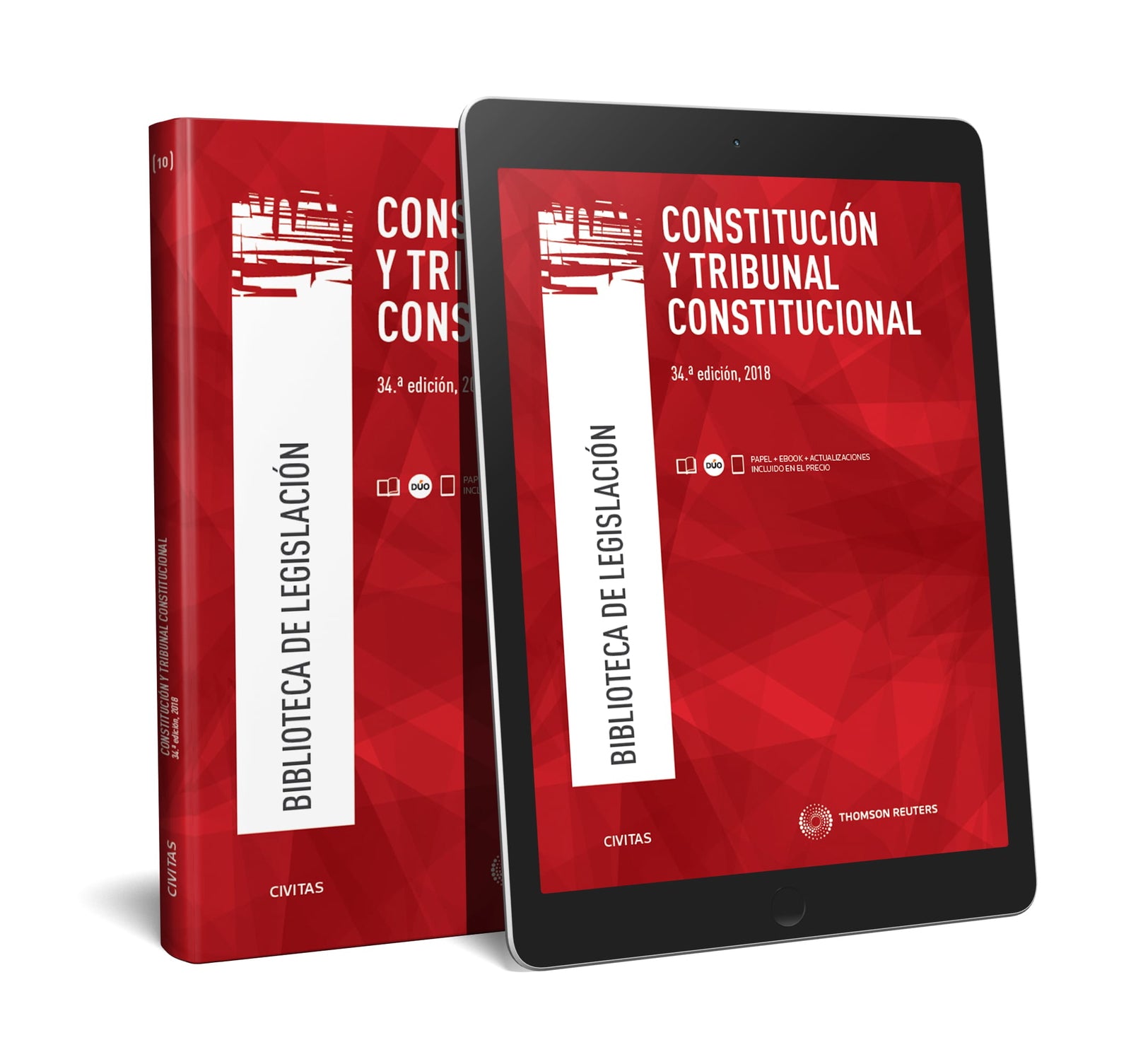 El derecho a la igualdad efectiva de mujeres y hombres (Papel + e-book)