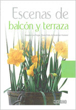 Escenas de balcón y terraza