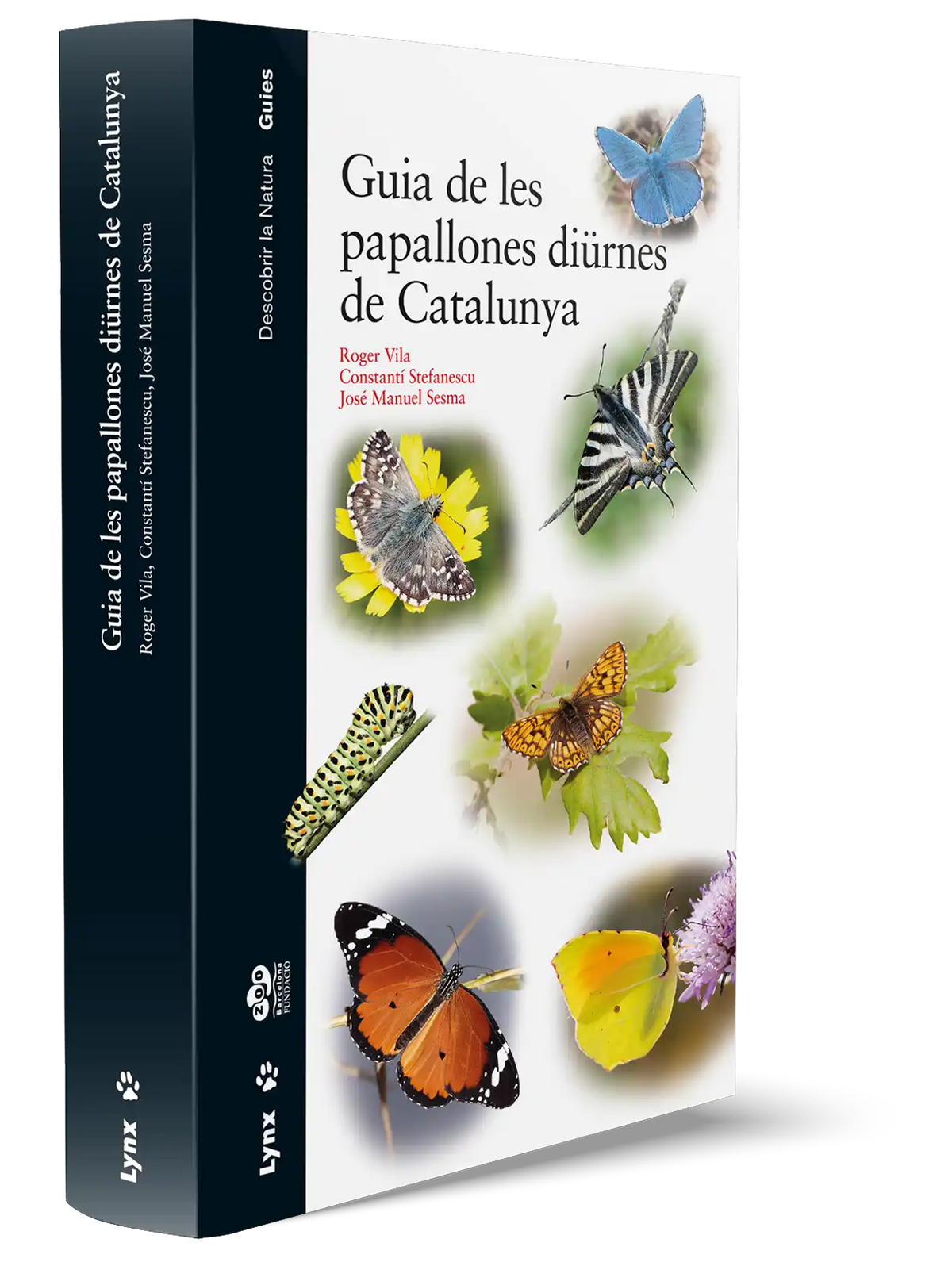 Guia de les papallones diürnes de Catalunya