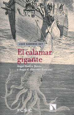 El calamar gigante