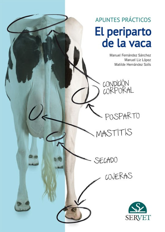 El periparto de la vaca: apuntes prácticos