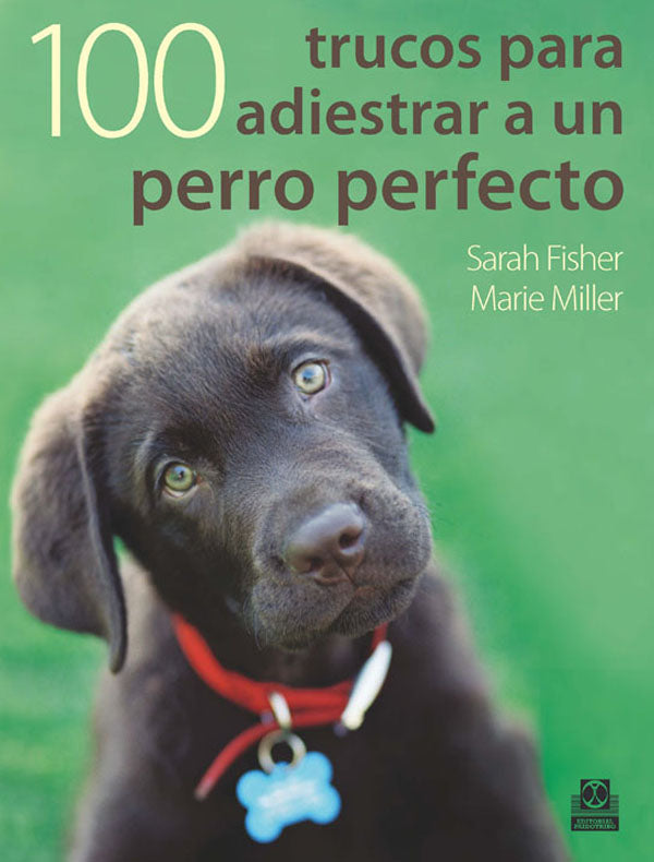 Cien trucos para adiestrar a un perro perfecto (Color)