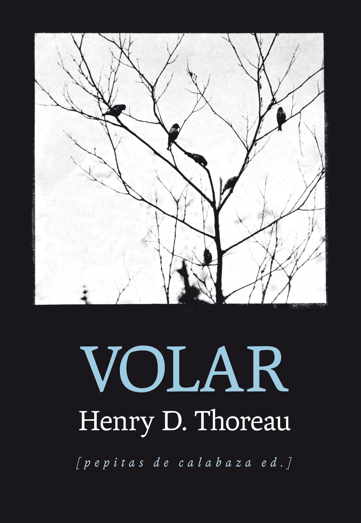 Volar
