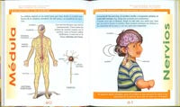 Enciclopedia ilustrada del cuerpo humano