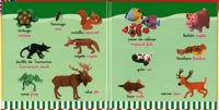 100 nombres de animales español-inglés