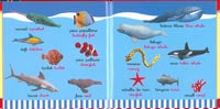 100 noms d'animals català-anglès