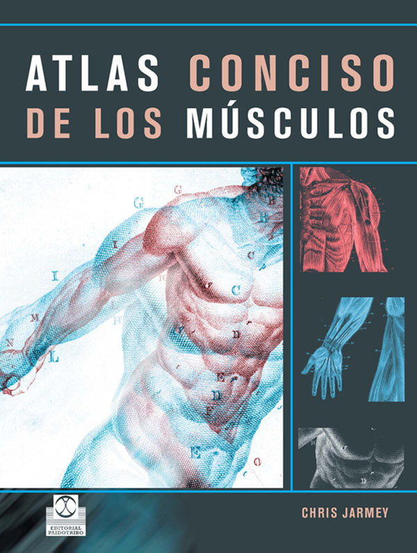 ATLAS CONCISO DE LOS MÚSCULOS (Color)