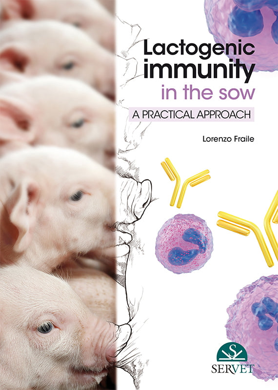 Lactogenic immunity in the sow