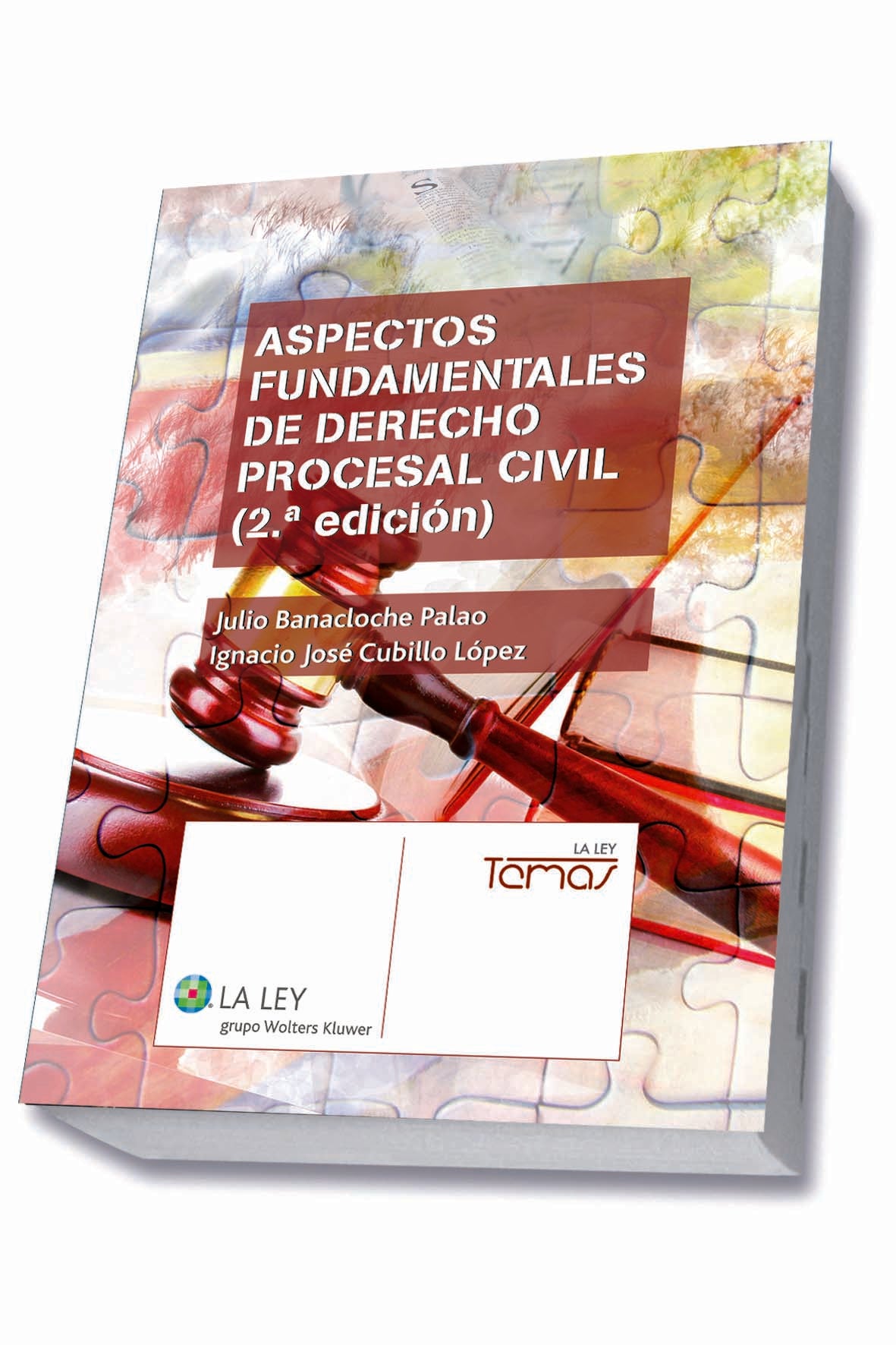 Aspectos fundamentales de Derecho procesal civil (2.ª edición)