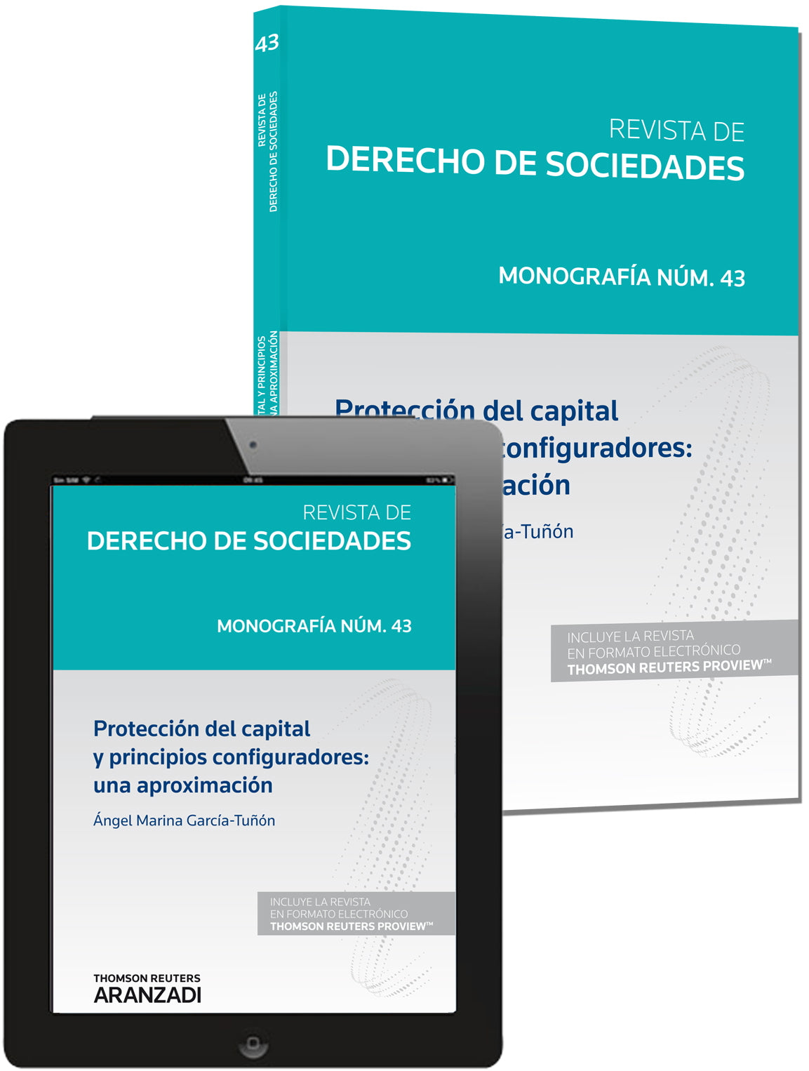 Protección del capital y principios configuradores: una aproximación (Papel + e-book)