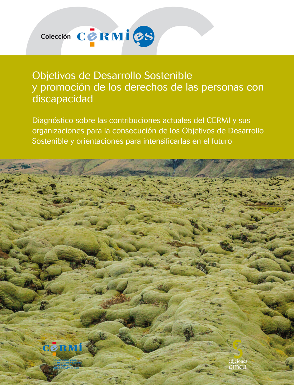 Objetivos de Desarrollo Sostenible y promoción de los derechos de las personas con discapacidad