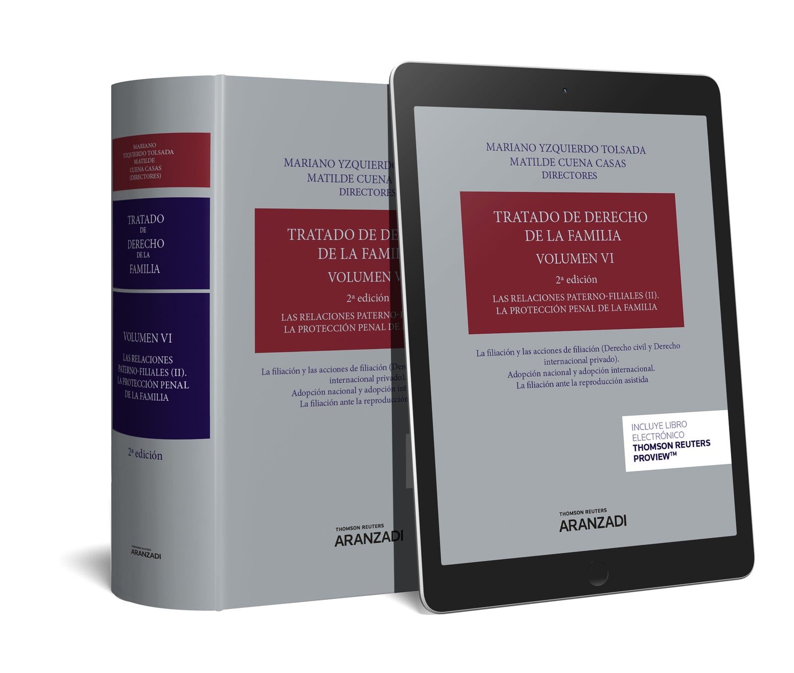 Tratado de Derecho de la Familia (Volumen VI)