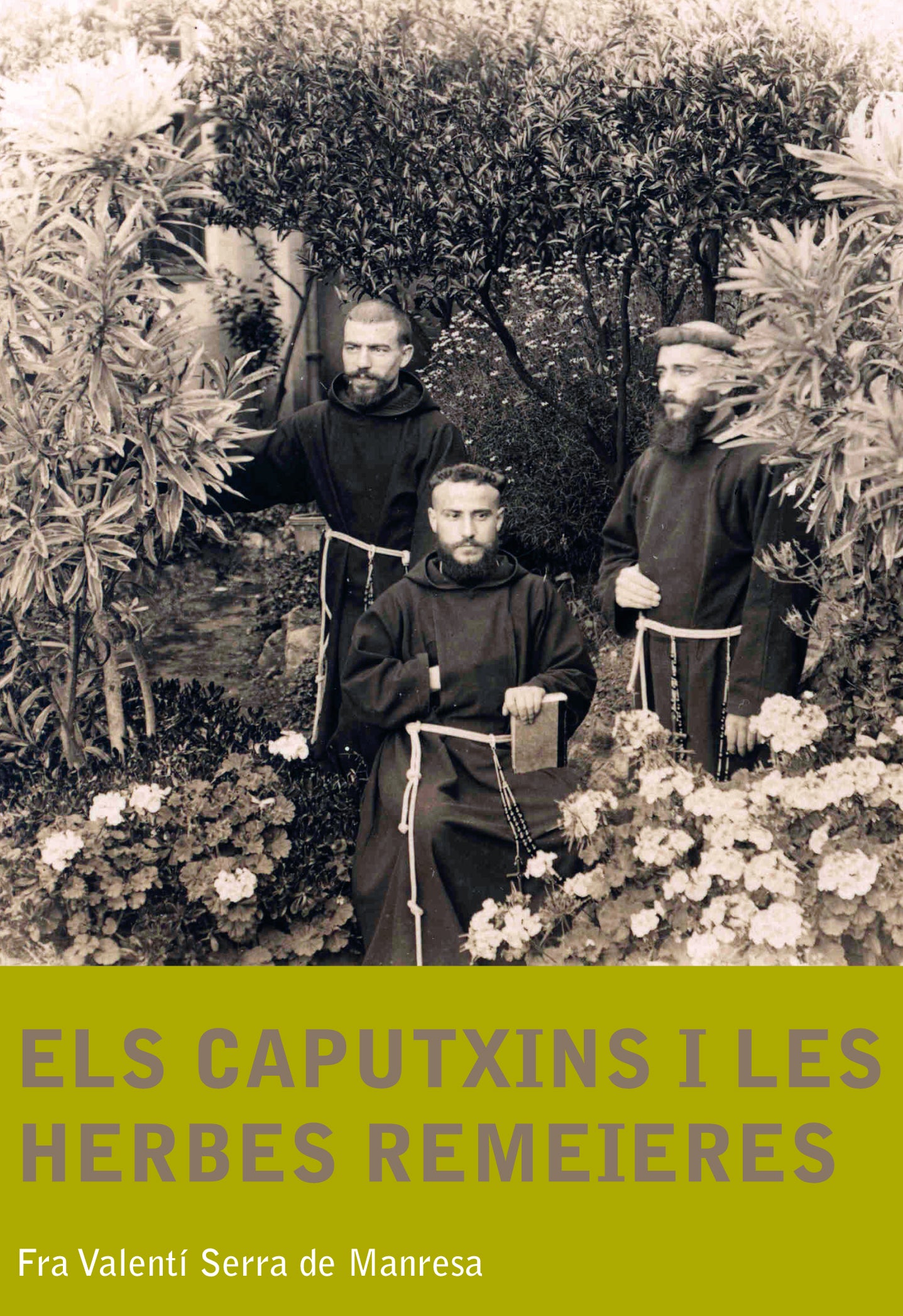 Els caputxins i les herbes remeieres