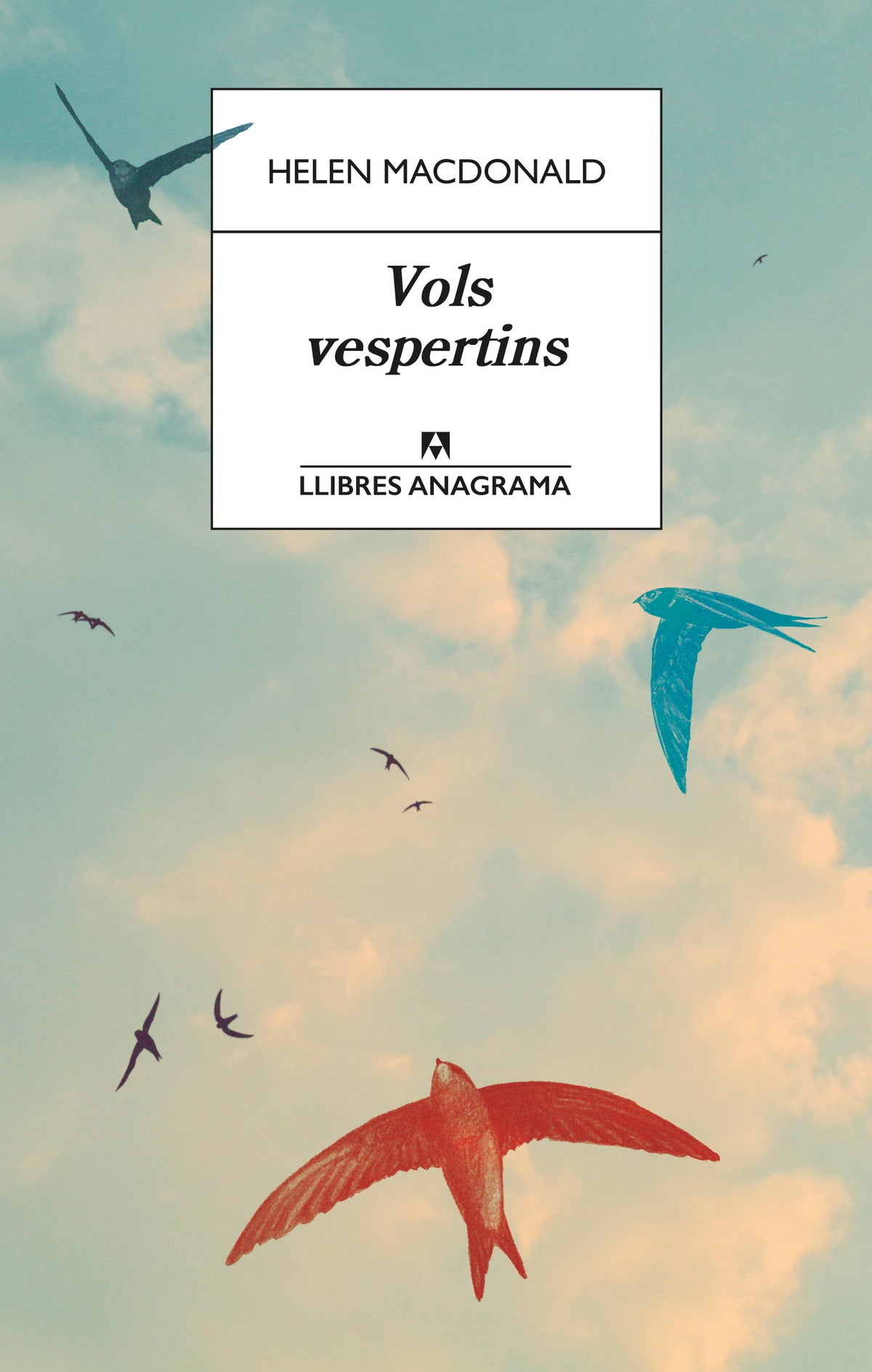 Vols vespertins