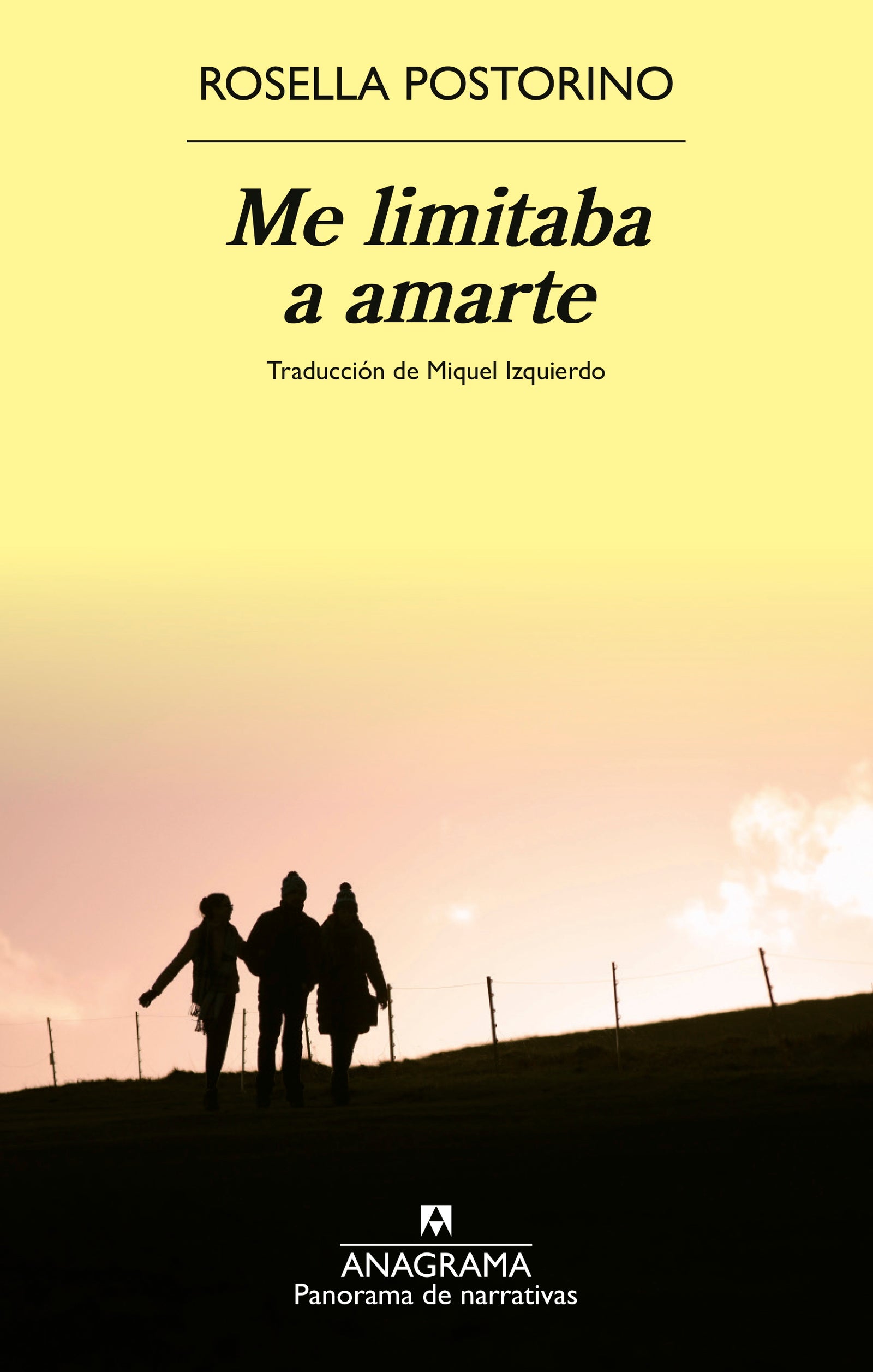 Me limitaba a amarte