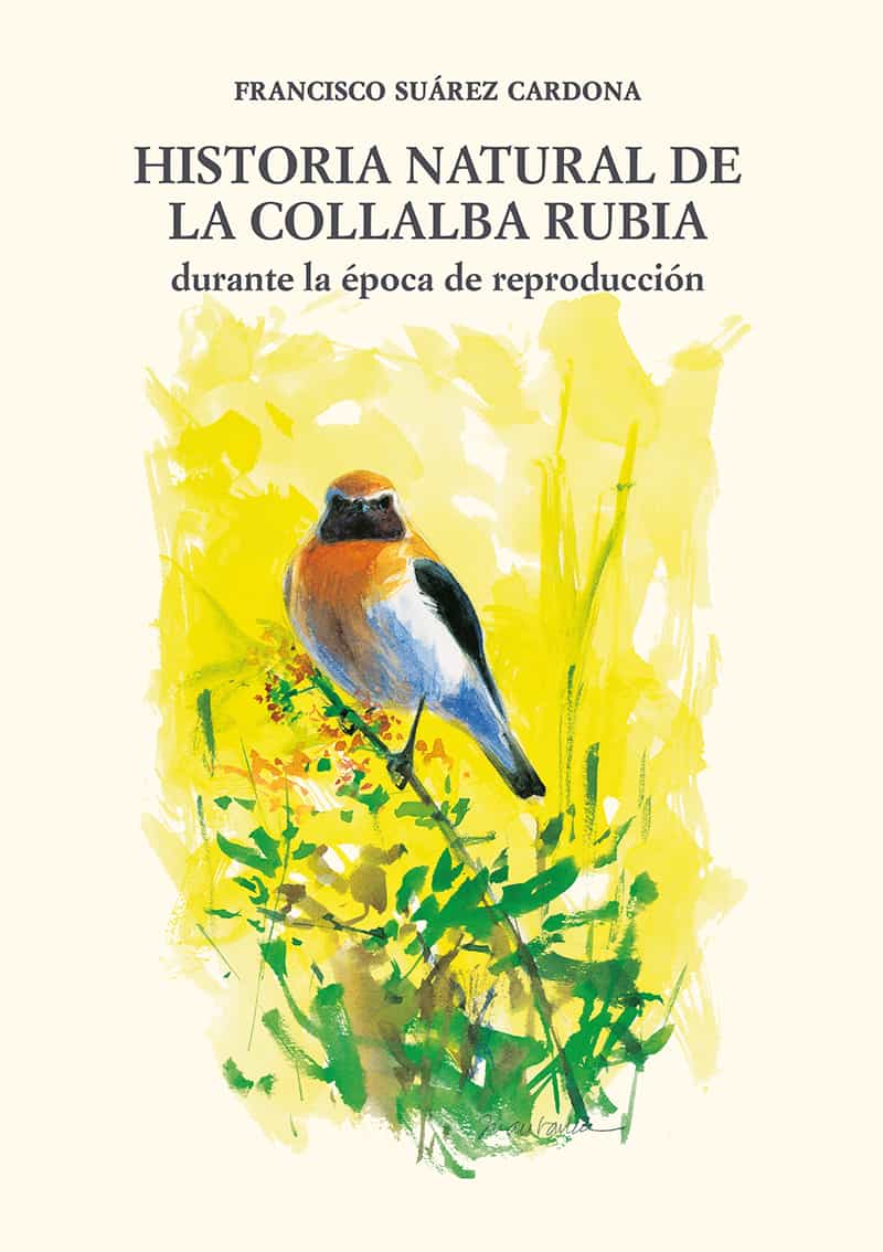 Historia Natural de la Collalba Rubia