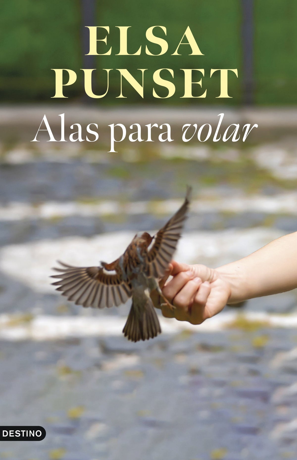 Alas para volar